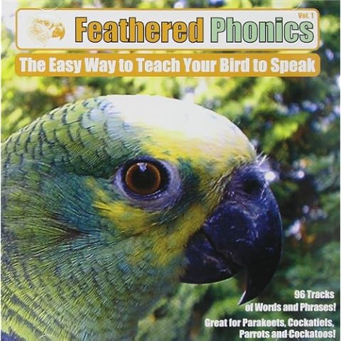Pet Media thumbnail