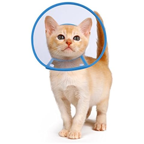 PETBABA thumbnail