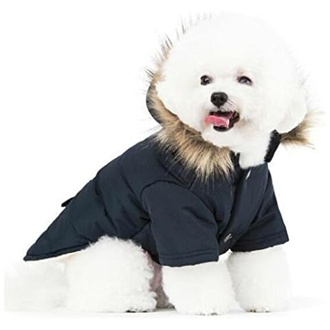 PetBoBo thumbnail