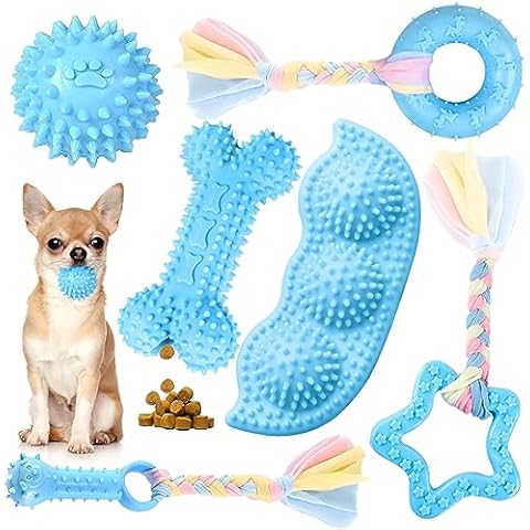 Petcare thumbnail