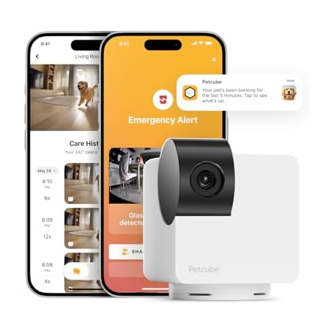 Petcube thumbnail