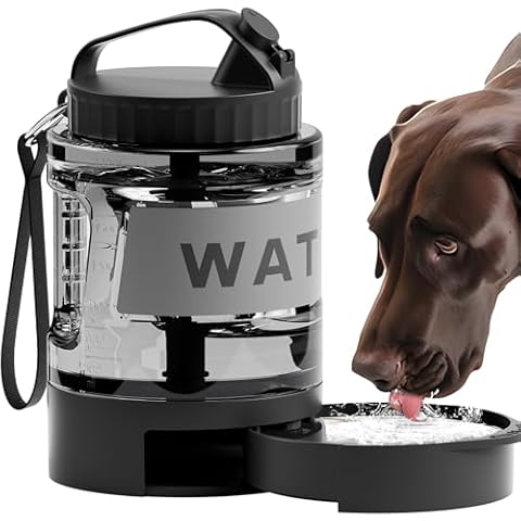 PETDOTT thumbnail
