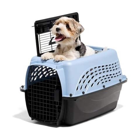 Petmate thumbnail