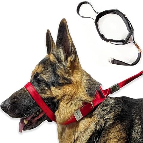 Pets ProMax thumbnail