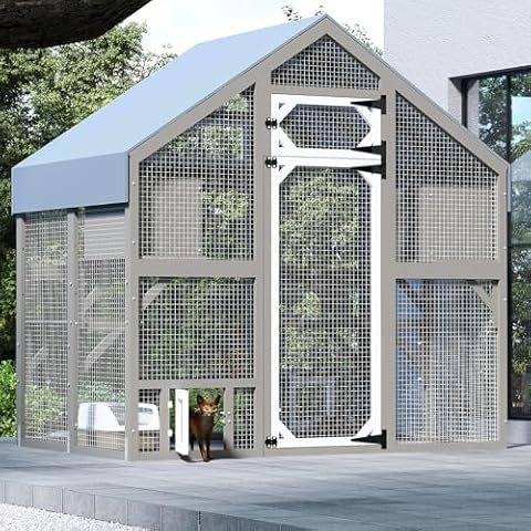 PetsCosset thumbnail