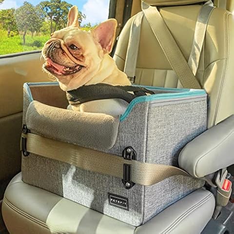 Labor Day Sale: Get 20% Off the AlfaTok Memory Foam Dog Car Seat