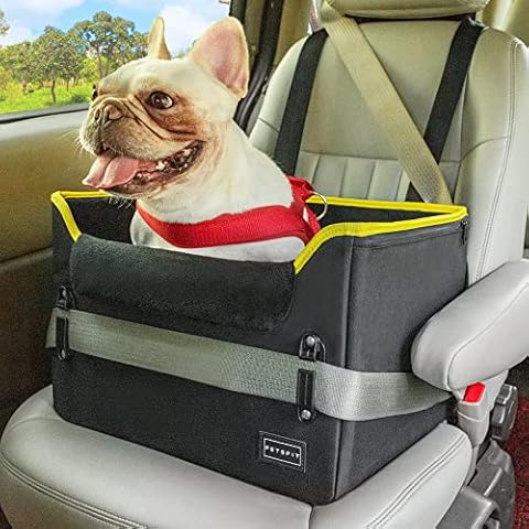 Petsfit thumbnail