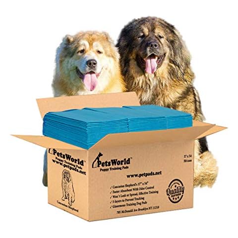 PETSWORLD thumbnail
