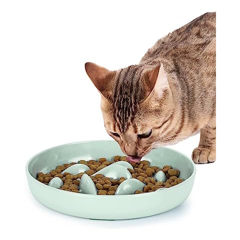 Maitys 2 Pcs cat Slow Feeder Bowl Pet Feeder Wet Food Slow Feed Raised Dish  Healthy