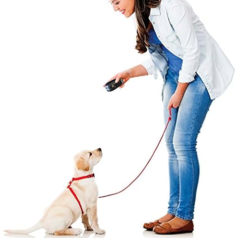 PetZoom thumbnail