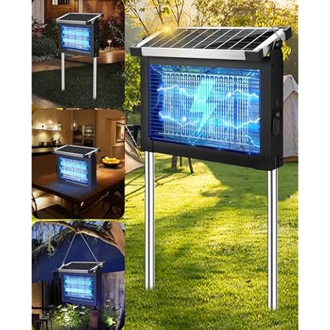 PhatroyYee thumbnail