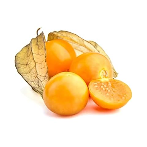 Physalis Peruviana thumbnail