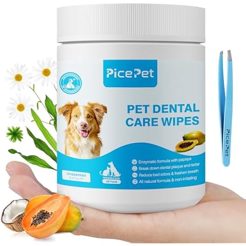 PICE PET thumbnail