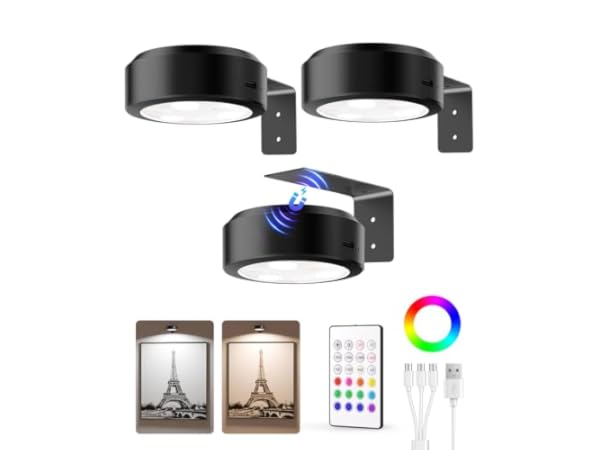 Picture Lights Thumbnail
