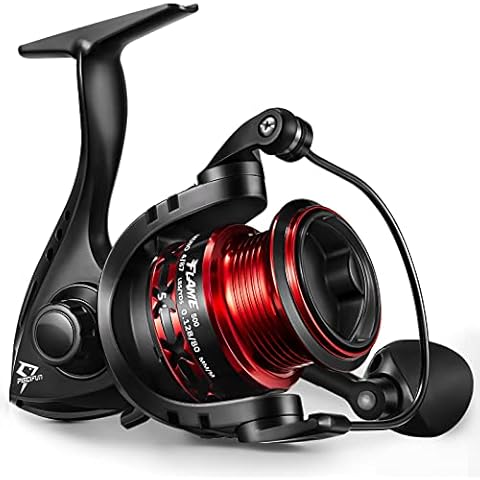 Piscifun Fishing Reels