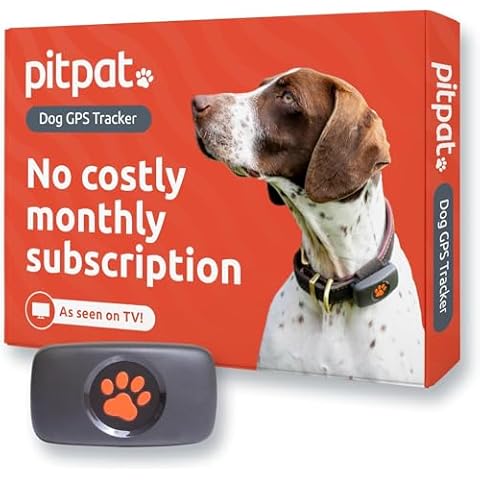 Pitpat thumbnail