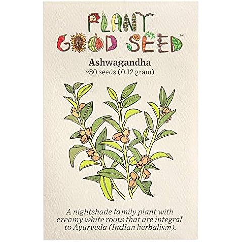 Plant Good Seed thumbnail