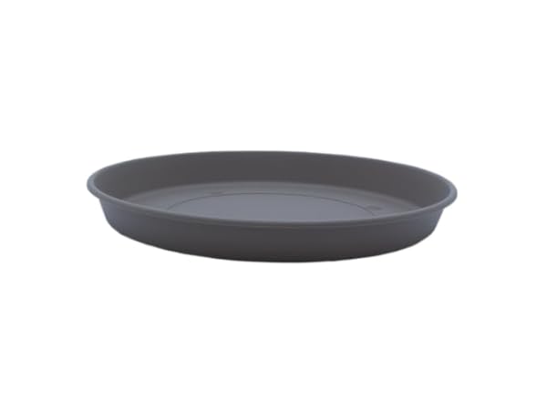 Plant Saucers Thumbnail
