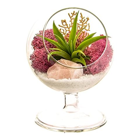 Plantzilla thumbnail