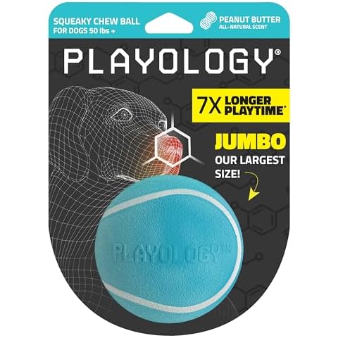Playology thumbnail
