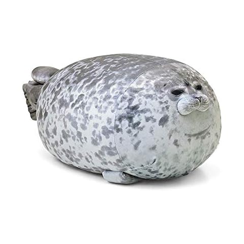 Plupiapio thumbnail