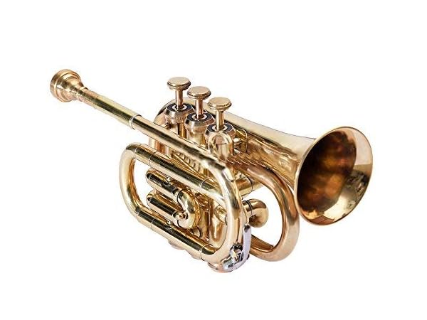 Queen Brass B-flat Pocket Trumpet Practise Mute in Chrome Finish, Student  Trumpet for Beginners with 7C Mouthpiece & Carrying Hard Case, Gift Option