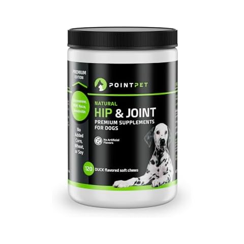 POINTPET thumbnail