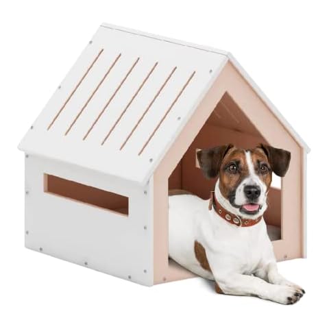 POLIPETS thumbnail