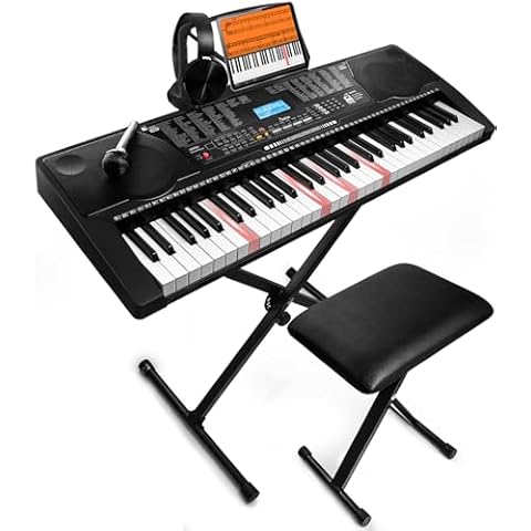Portable Electronic Keyboards