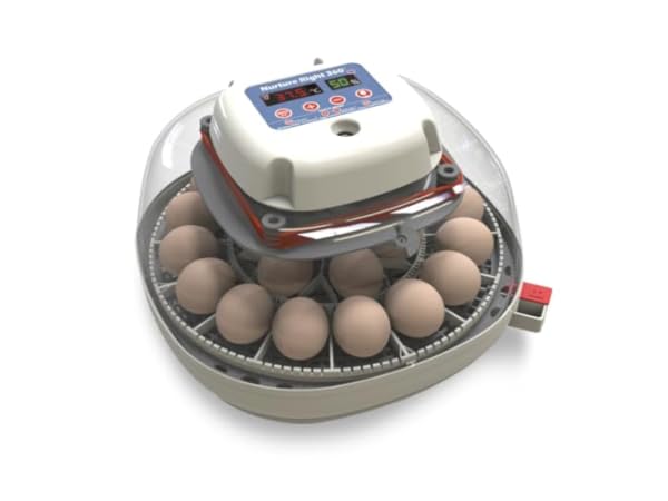 Poultry Egg Incubators Thumbnail