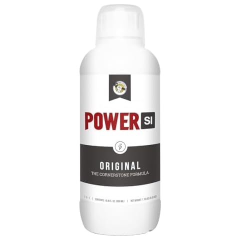 Power Si thumbnail