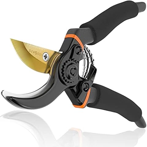 https://us.ftbpic.com/product-amz/premium-bypass-pruning-shears-for-your-garden-heavy-duty-ultra/41h76LoCA+L._AC_SR480,480_.jpg