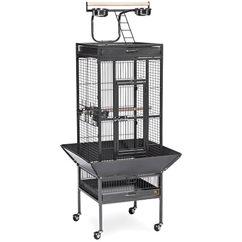 Prevue Pet Products thumbnail