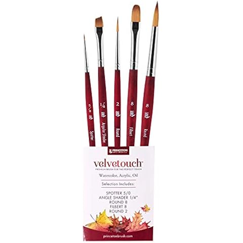 Princeton feature image