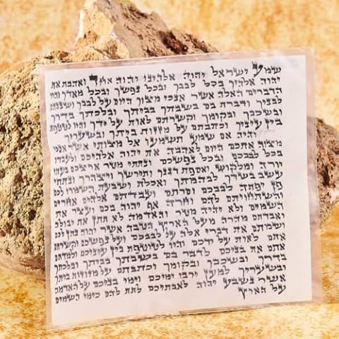 PROSHOFAR feature image