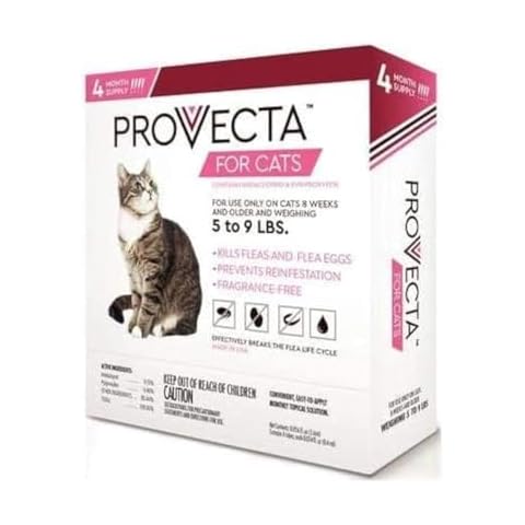 Provecta thumbnail
