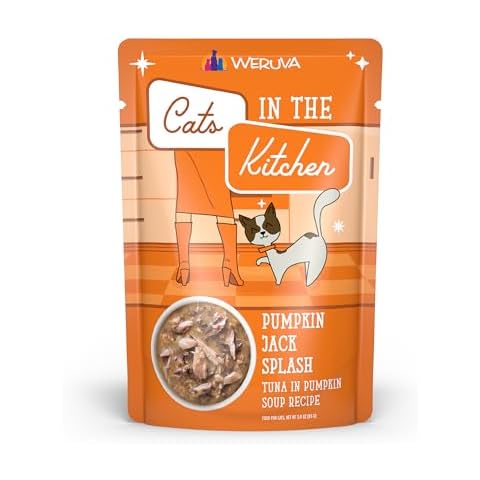Pumpkin Cat Food Pouches