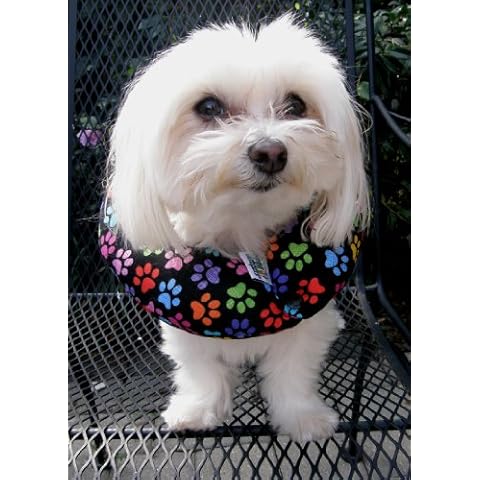 Puppy Bumpers thumbnail