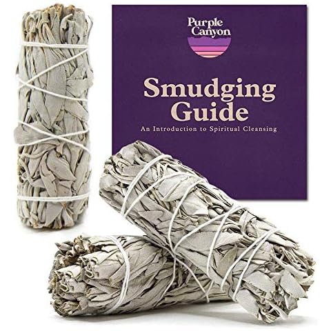 PURPLE CANYON feature image