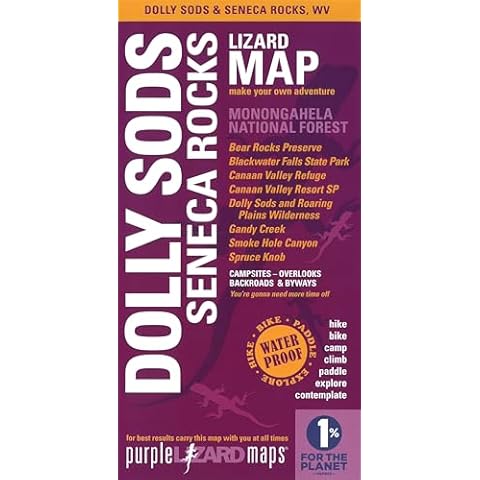 Purple Lizard Pub. thumbnail