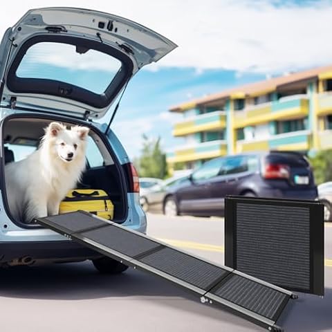 PURRPAXZ thumbnail