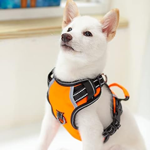 Puwihoe thumbnail
