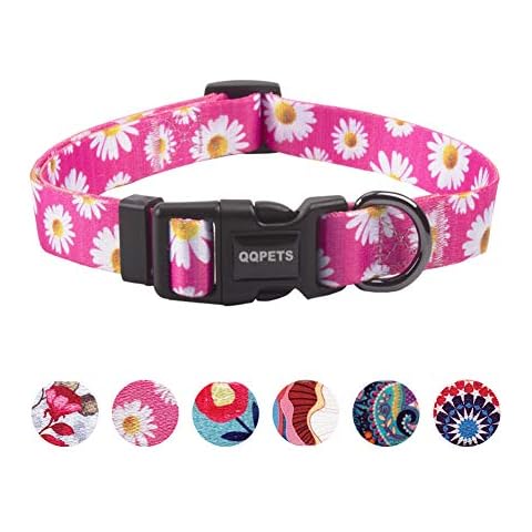 QQPETS thumbnail
