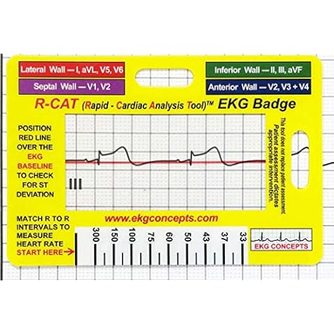 R-Cat thumbnail