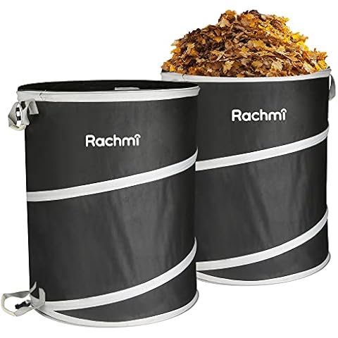 Rachmi thumbnail