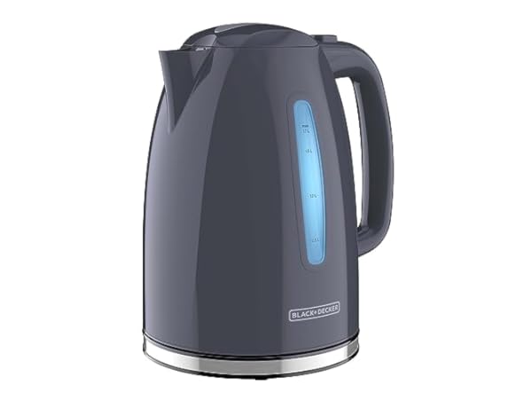 Anfilank Gooseneck Electric Kettle(1.0L), 100% Stainless Steel BPA