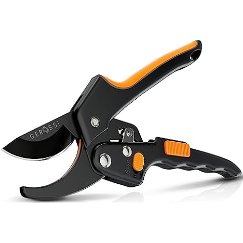 Premium Bypass Pruning Shears for your Garden - Heavy-Duty, Ultra Sharp  Pruners Made with Japanese Grade Stainless Steel - Perfectly Cutting  Through Anything in Your Yard - Includes Lifetime Warranty 