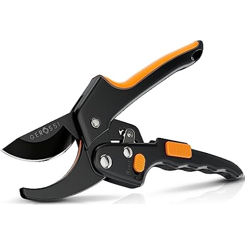 https://us.ftbpic.com/product-amz/ratchet-pruning-shears-for-gardening-heavy-duty-increases-cutting-power/416tyWrGYJL._AC_SR480,480_.jpg