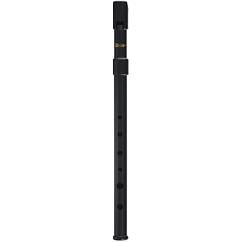 Recorder Workshop thumbnail