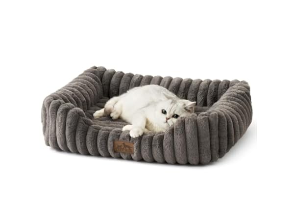 The 10 Best Rectangle Cat Beds of 2026 (Reviews) - FindThisBest